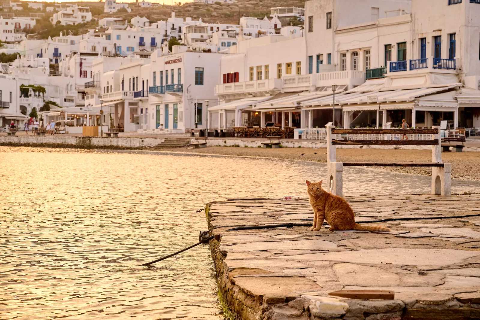 Προφίλ dating για Έλληνα solo ταξιδιώτη: πώς να μην ακούγεσαι σαν φυλλάδιο τουριστικού γραφείου